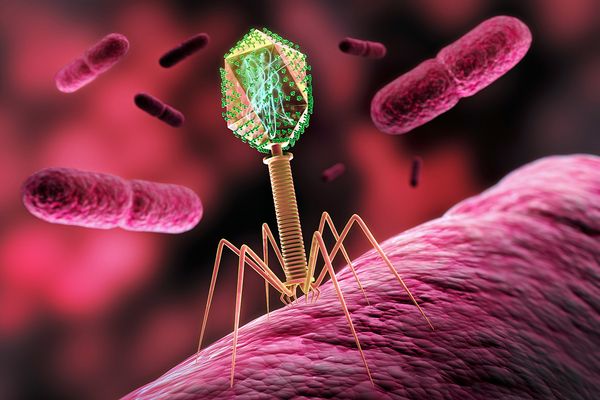 Ученые нашли способ излечить миллионы людей. Как в этом помогут вирусы?