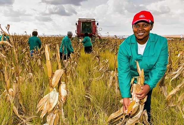 Ученые нашли способ излечить миллионы людей. Как в этом помогут вирусы?