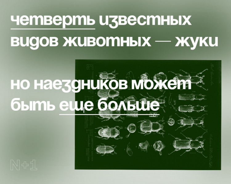 10 внезапных фактов о разнообразии видов
