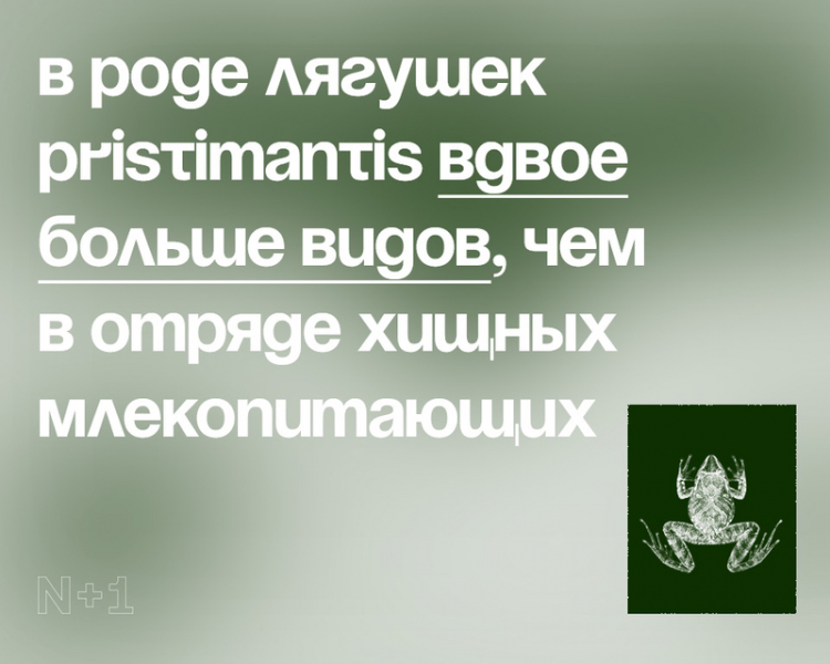 10 внезапных фактов о разнообразии видов