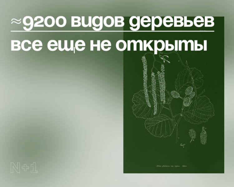 10 внезапных фактов о разнообразии видов