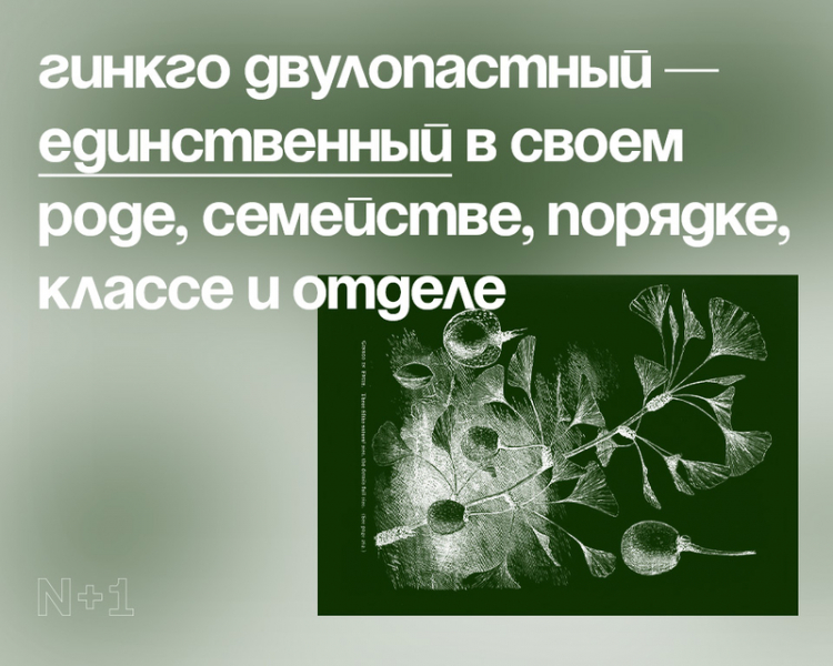 10 внезапных фактов о разнообразии видов
