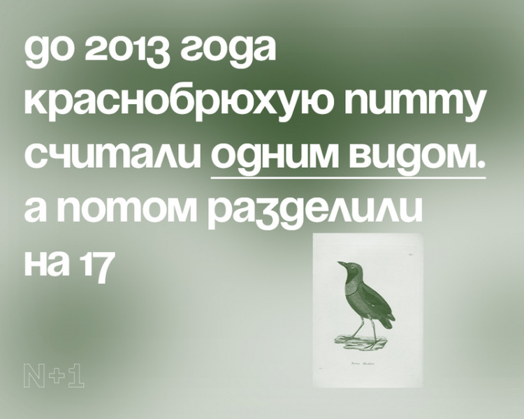 10 внезапных фактов о разнообразии видов