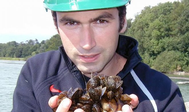 Биопули из Кембриджа &mdash; новый экологичный метод борьбы с зебровыми мидиями 