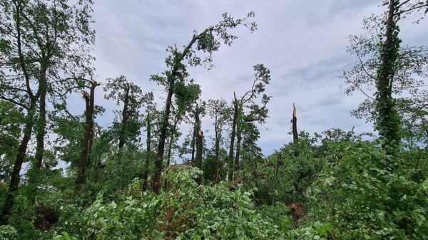 Мощный торнадо на западе Германии: сильные разрушения и 43 пострадавших