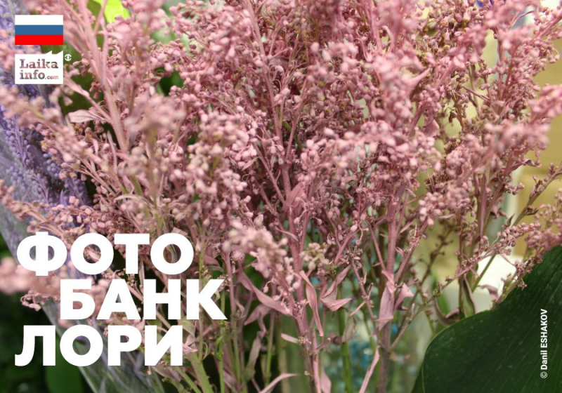 ФОТОБАНК ЛОРИ: МЕТАВСЕЛЕННАЯ ФОТОГРАФА