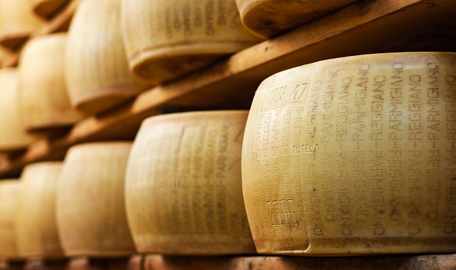 Итальянские сыроделы прочипируют головки пармезана как домашних питомцев