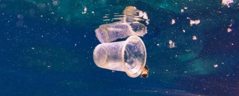 Новый фермент, найденный в компосте установил рекорд скорости по расщеплению пластика