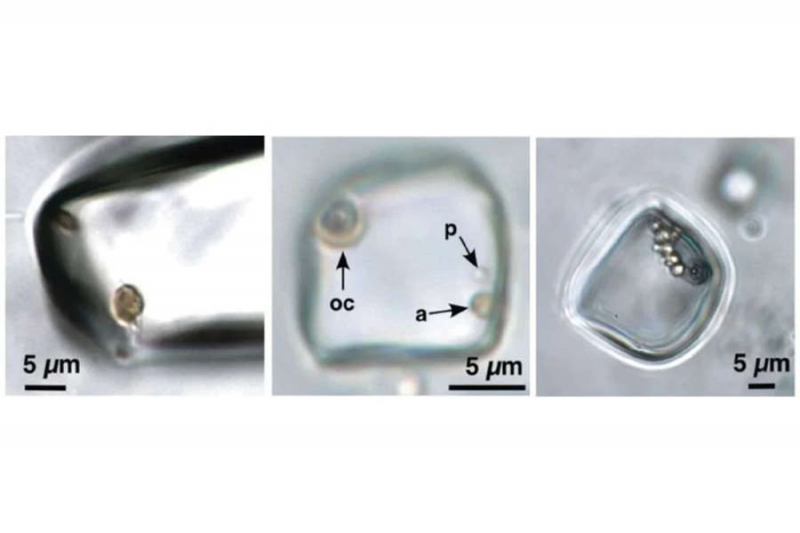 Ученые вскроют кристалл возрастом 830 млн лет, чтобы оживить таящихся там микробов