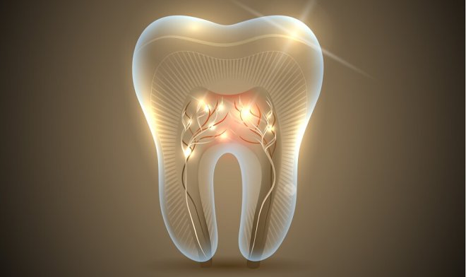 В Индии разработали наноботов, которые уничтожают бактерии внутри зубов
