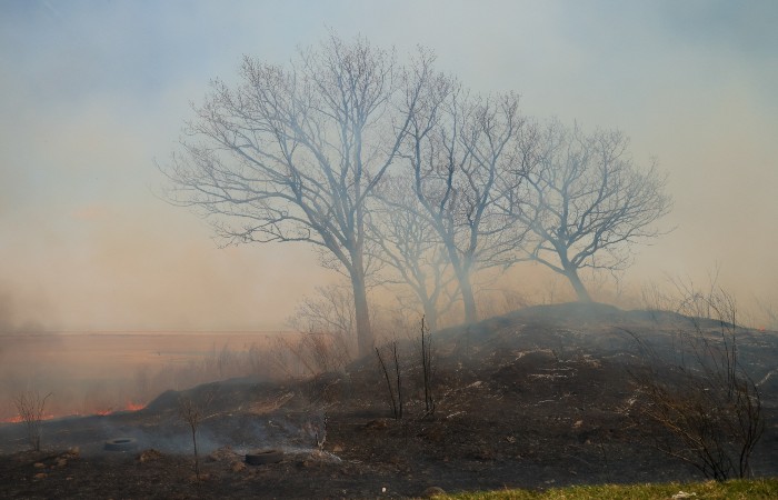 Вице-премьер Абрамченко призвала ужесточить наказание за поджоги и пал травы