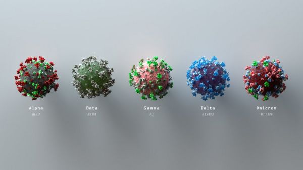 ВОЗ: оспа обезьян тревожит врачей, но Covid-19 намного опаснее, даже после вакцинации