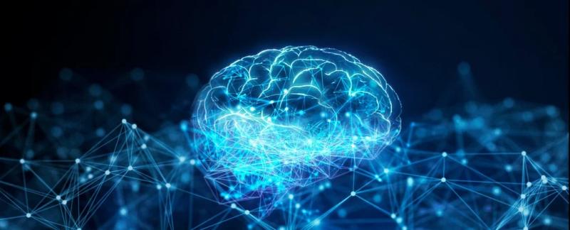 Google утверждает, что их ИИ является разумным в утечке данных, но не все с этим согласны