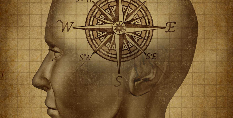 Магнитное чувство человека обусловлено механизмом, зависящим от резонанса света и магнитного поля