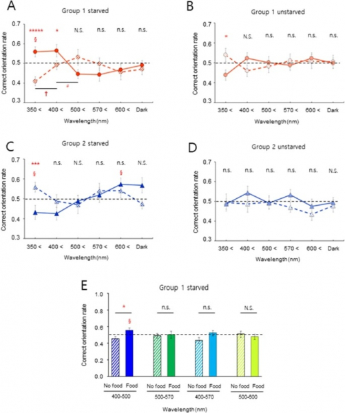 Магнитное чувство человека обусловлено механизмом, зависящим от резонанса света и магнитного поля