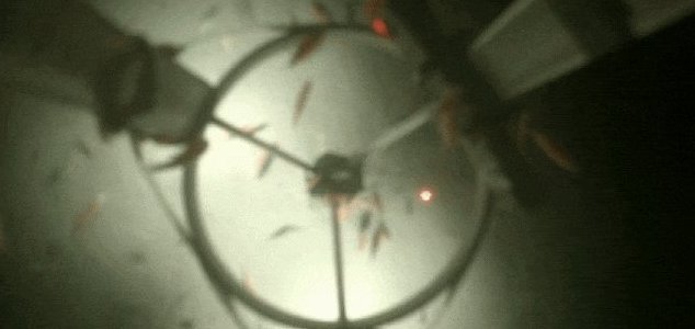 Множество различных существ обнаружено глубоко под антарктическим льдом