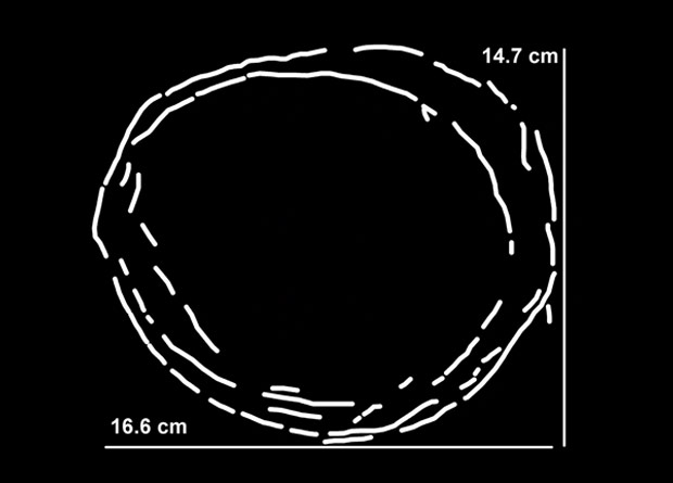 В яйце динозавра нашли еще одно яйцо