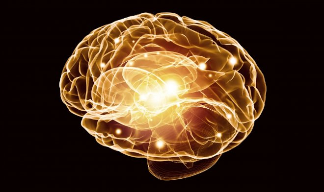 В мозгу найден рецептор, который отвечает за кокаиновую зависимость