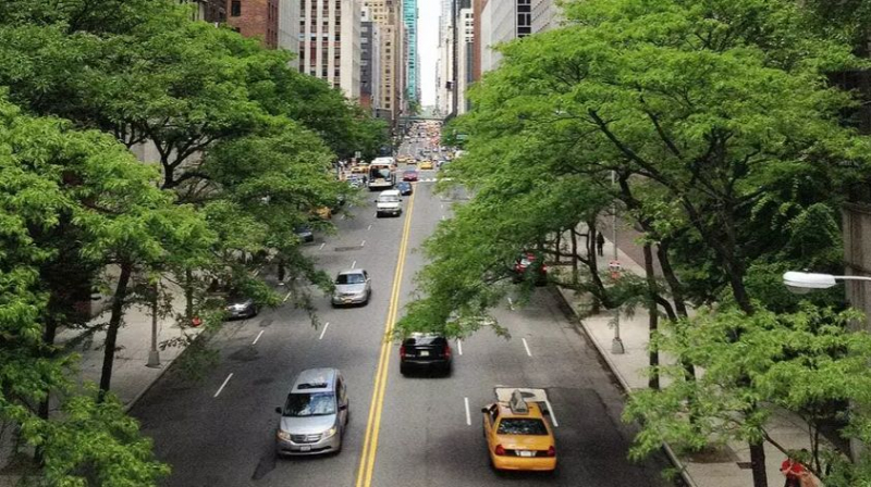 Люди нарушили биологические часы растений. Чем это опасно