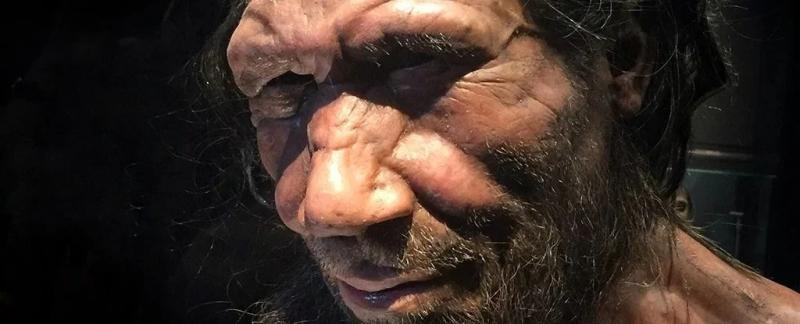 Некоторые из нас частично неандертальцы, и это может повлиять на то, как человек перерабатывает лекарства