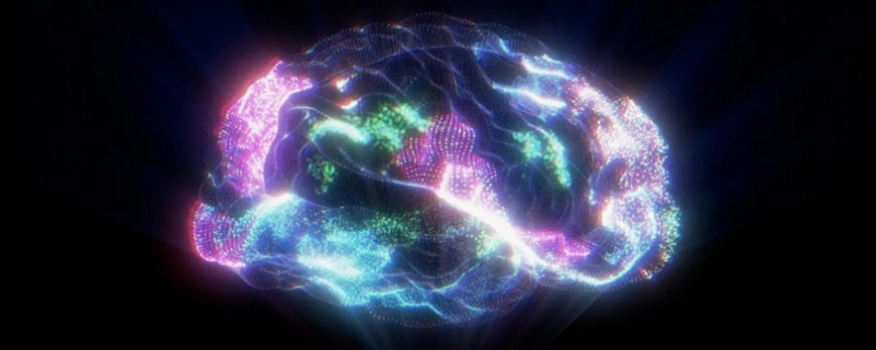 Одни и те же участки мозга контролируют обработку десятков разных языков