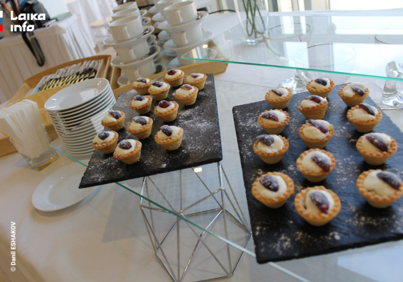 ПЕРВЫЙ В СИБИРИ BRAIN НЕТВОРКИНГ