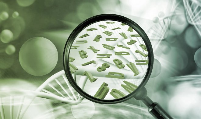 &laquo;Пишущая машинка для ДНК&raquo; позволит закодировать целые фразы в живых клетках 