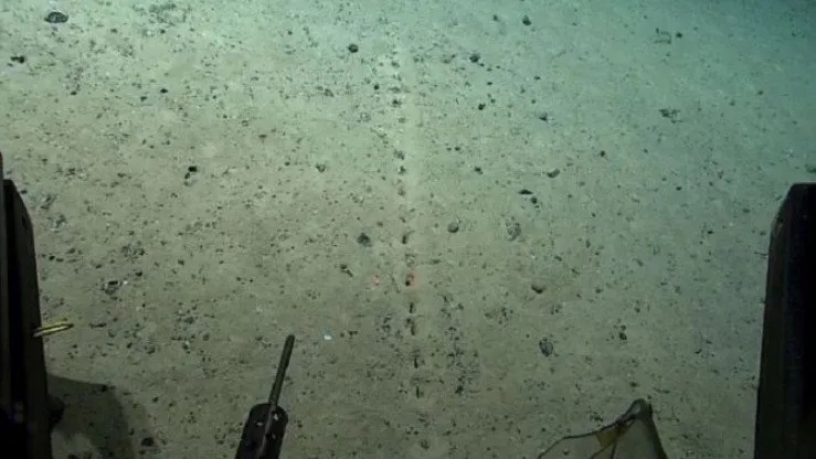 Странные отверстия обнаружены учеными на дне Атлантического океана