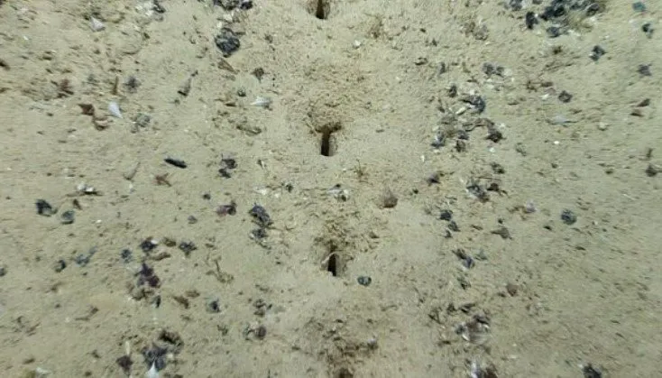 Странные отверстия обнаружены учеными на дне Атлантического океана
