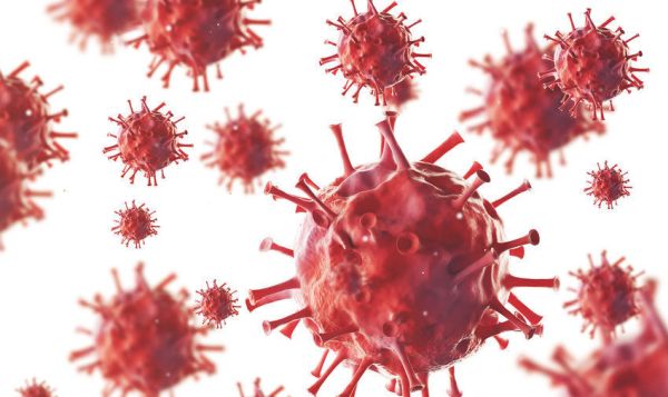 Вирусологи обнаружили патогены, ставшие причиной возникновения жизни на Земле