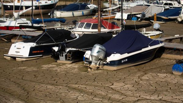 Фото: пересохшие Гарда и Рейн - последствия засухи в Европе