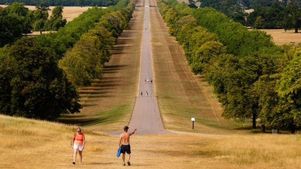 Фото: пересохшие Гарда и Рейн - последствия засухи в Европе