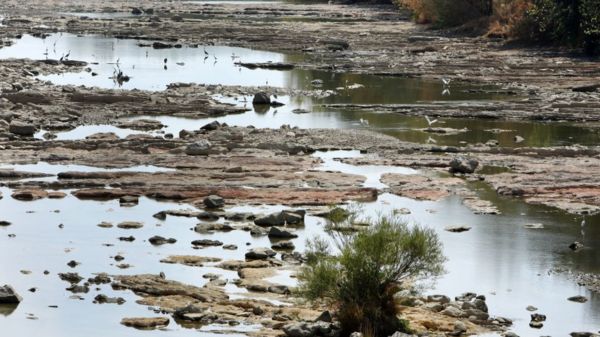 Фото: пересохшие Гарда и Рейн - последствия засухи в Европе