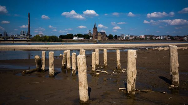 Ученые: такой засухи в Европе не было последние 500 лет