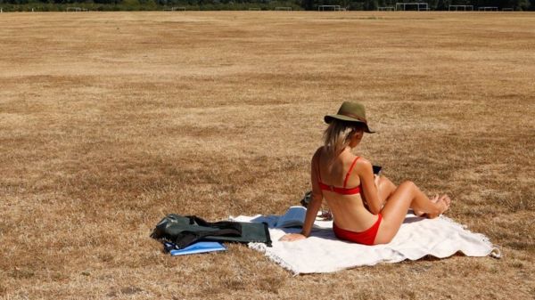 Фото: пересохшие Гарда и Рейн - последствия засухи в Европе