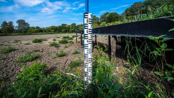 Фото: пересохшие Гарда и Рейн - последствия засухи в Европе
