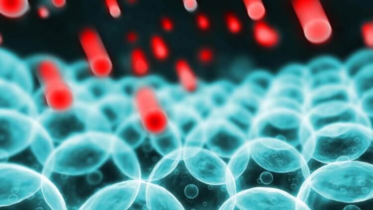 Кока-кола сделала мышей глупее. А как она влияет на людей?