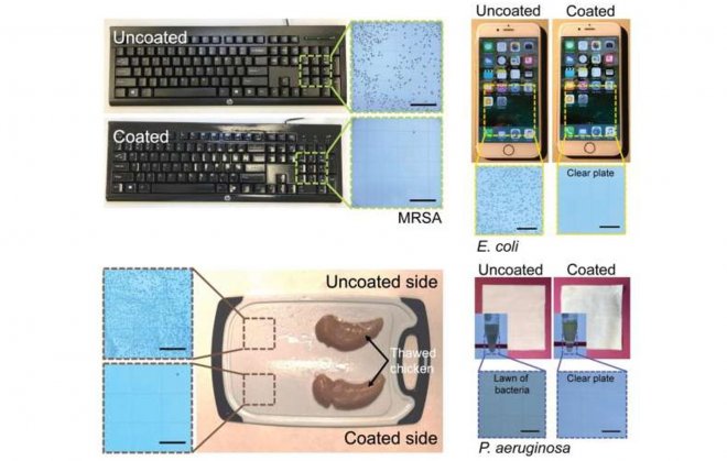 Прочное покрытие на основе натуральных масел уничтожит бактерии и вирусы, включая SARS-CoV 
