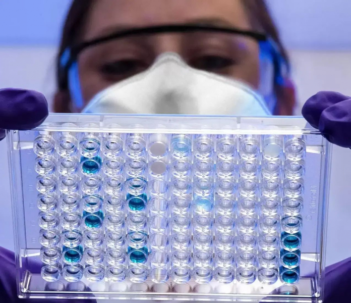 У гигантских вирусов обнаружили способность собирать клеточные ядра