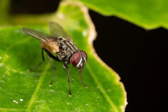 Ученые узнали, почему нам хочется спать в жаркую погоду