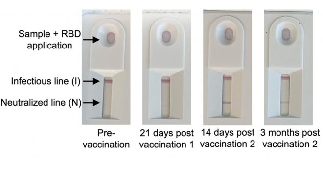 В MIT разработали очень простой и быстрый тест на иммунитет к COVID-19 