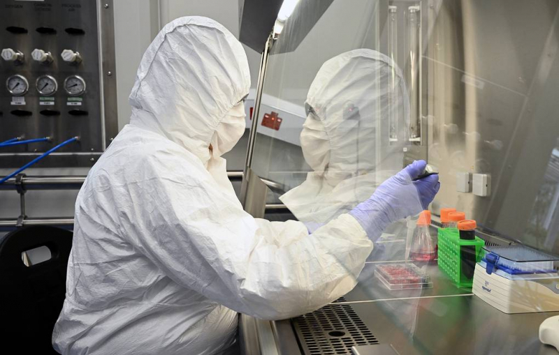 Вирус оспы обезьян теряет жизнеспособность при нагреве до 60-70 градусов Цельсия