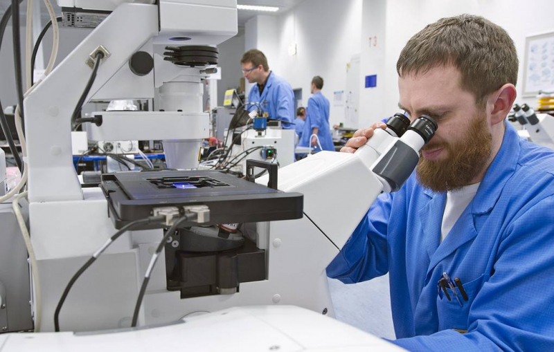 Мозг напрямую управляет работой жировой ткани