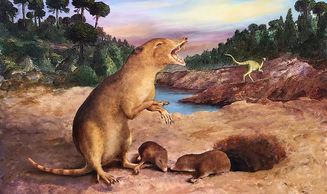 Ученые обнаружили самое древнее млекопитающее Земли 