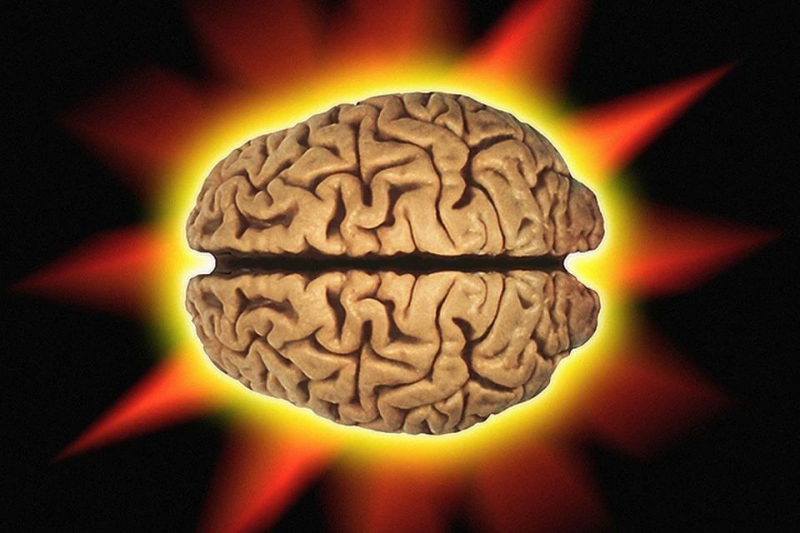 Ученые сделали удивительное открытие: Наш мозг умеет спать частями, как у дельфинов