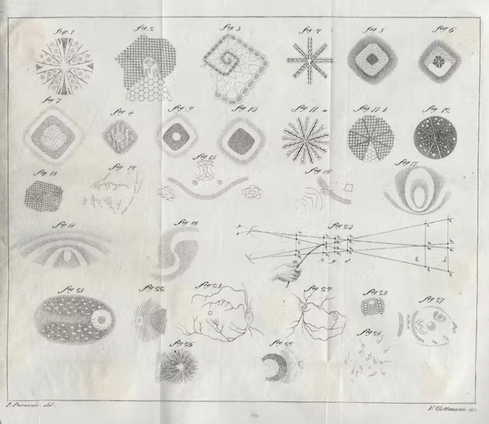 Манипулирование светом может вызывать психоделические переживания и ученые не знают почему