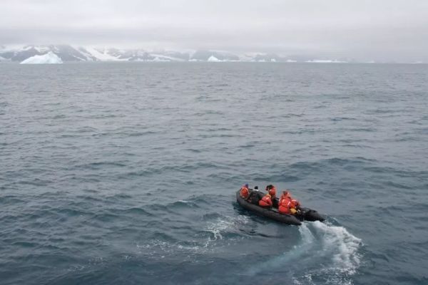В Антарктиде обнаружена ДНК, пролежавшая на морском дне миллион лет