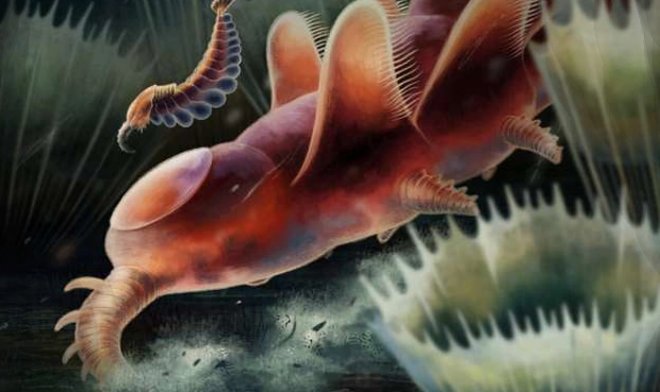 Эти странные существа из Уэльса &mdash; остатки &laquo;кембрийского взрыва&raquo; 