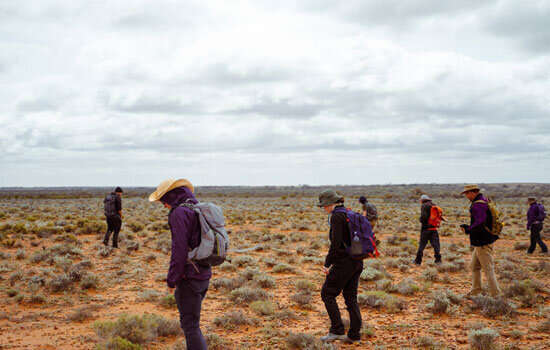 Исследователи обнаружили поле, усеянное метеоритами