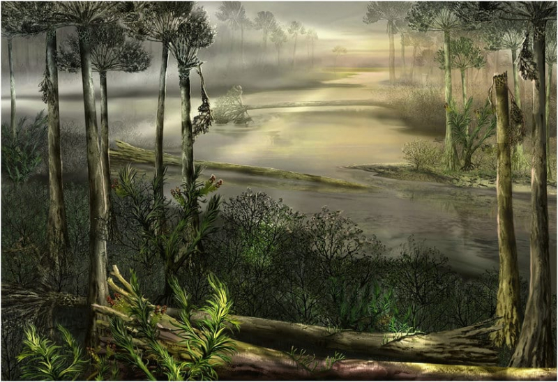 Как древесные корни вызвали массовое вымирание